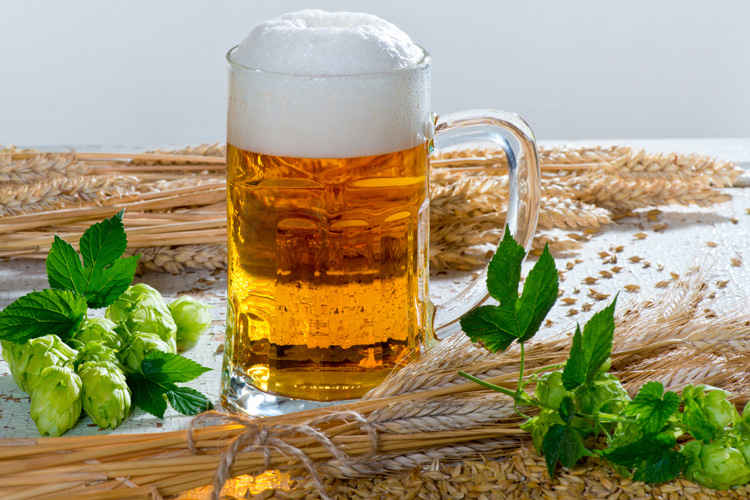 add barley and hops to water to get beer