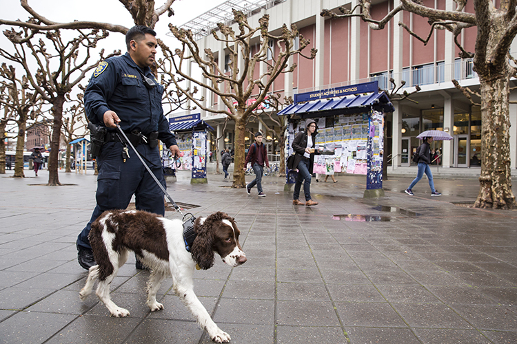 EOD K9 Obi and his handler Officer Salvador Lopez walk through Sproul Plaza at UC Berkeley on Tuesday, March 13, 2018.