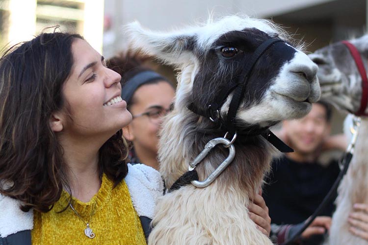 Student smiling next to a llama.