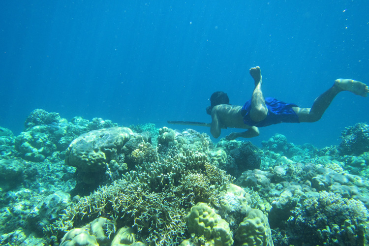 Bajau diver swimming near coral reef