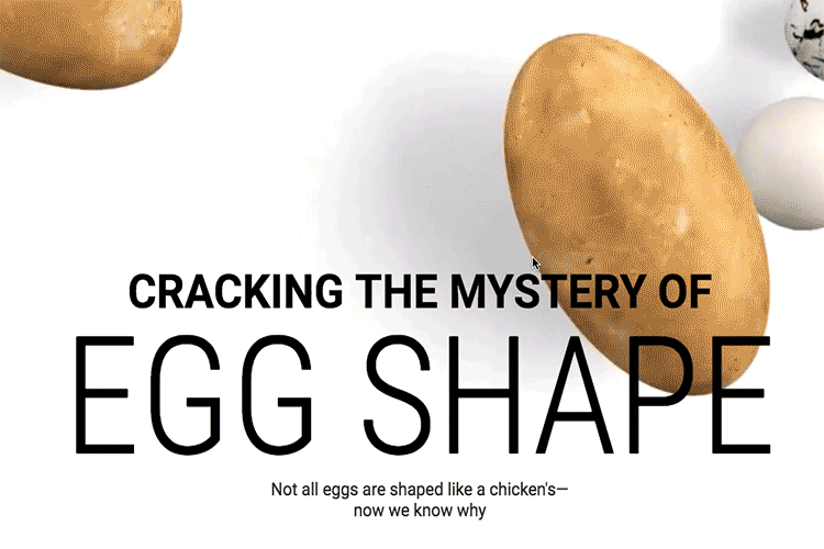 A screen-grab of the egg animation. (Images courtesy Science.)