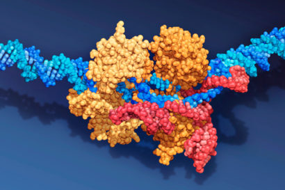 CRISPR-Cas9 molecule