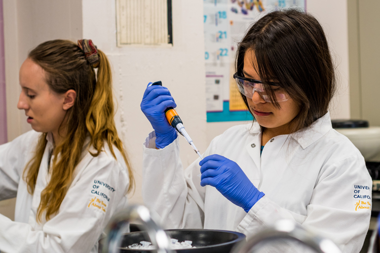 a student pipetting