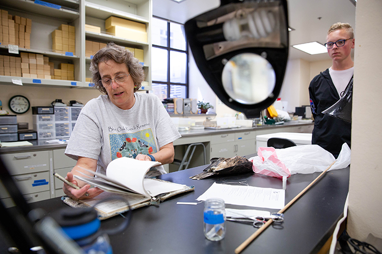 Carla records data in her catalogue