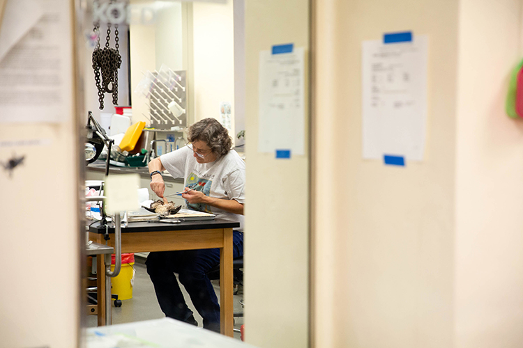 long shot of carla working on a specimen