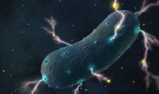 sparking bacteria