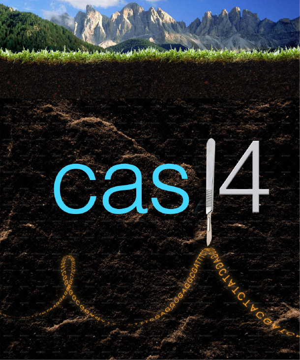 graphic explaining the isolation of Cas14 from Colorado soil