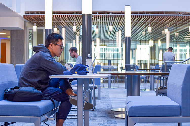 Students, staff and faculty can enjoy the communal working space.