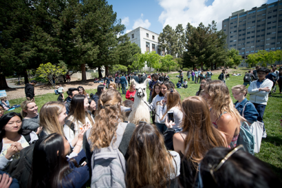 students crowd around a llama