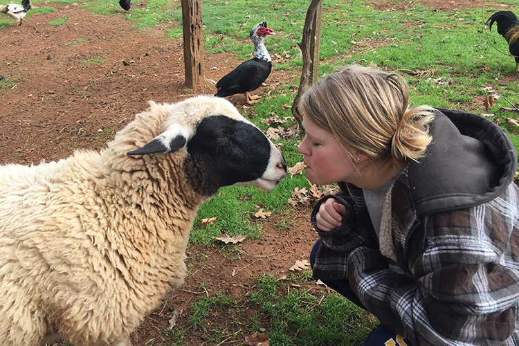 Elisabeth Earley and one of the family's sheep