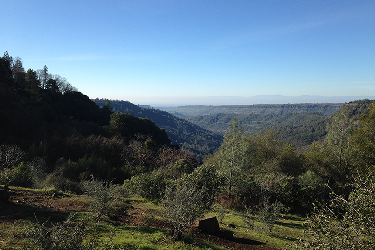 Stunning view of Butte Creek Canyon in Paradise.