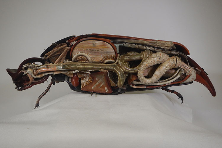 A wooden model of a beetle