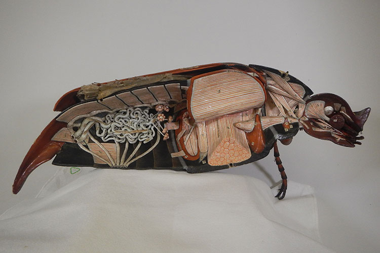 A wooden model of a beetle