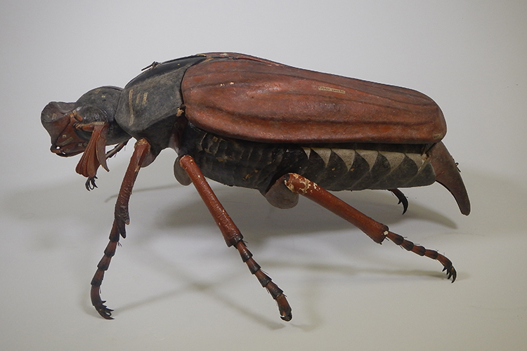 A colorful wooden model of a beetle