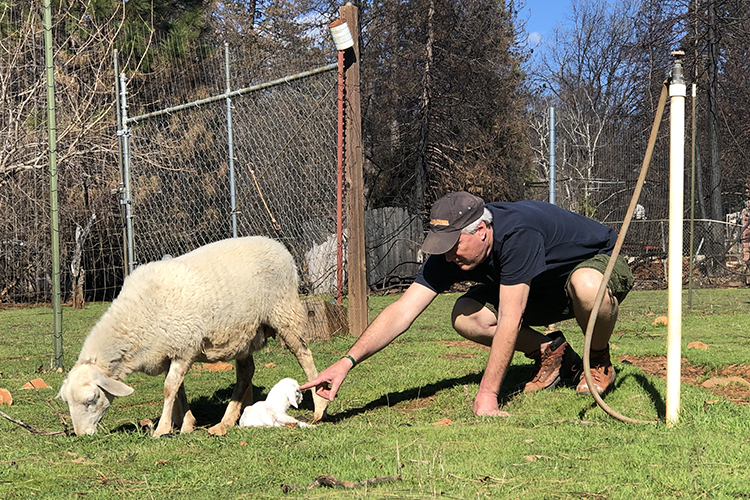 Elisabeth Earley's father greets a new lamb in the family's flock.