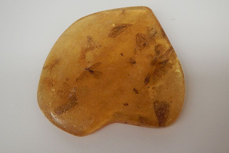 A piece of amber with vague outlines of termites inside