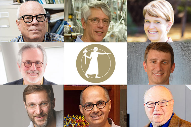 A photo collage showing The new National Academy of sciences members Martin Banks, Roger Falcone, Rebecca Heald, Uros Seljak, David Zilberman, Omar Yaghi, Scott Shenker and David Raulet.