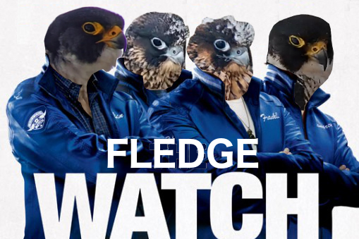 Falcon Watch poster