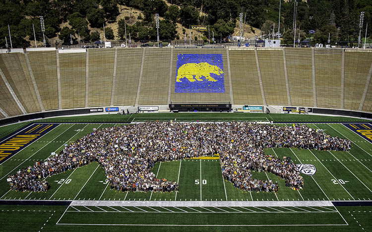 thousands of students shaped like a bear on the field