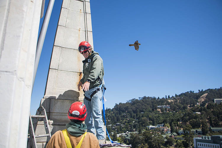 two men work on the tower while a falcon swoops by