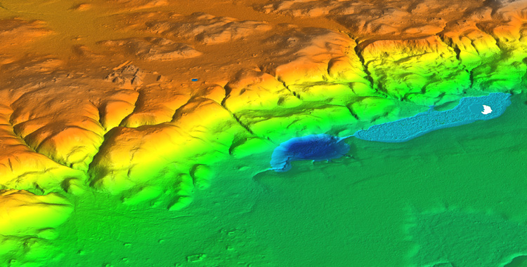 LIDAR image of the ruined Mayan city of Witzna