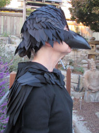 King dressed as a raven for Halloween.