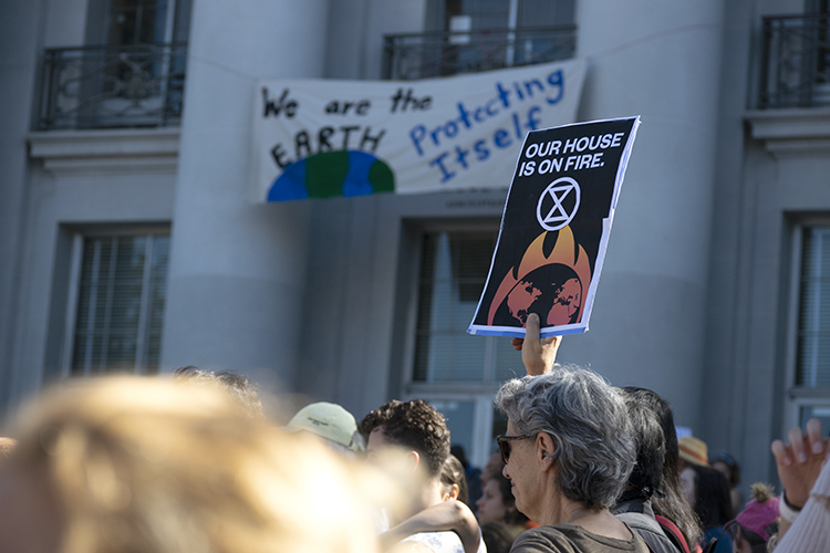 climate strike sign that says 