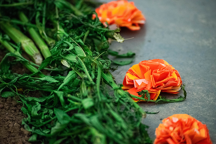 Paper flowers and marigold stems form the border of a Day of the Dead altar.