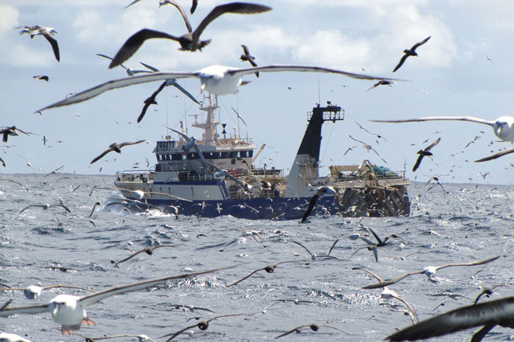 fishing boat