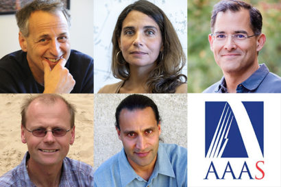 new AAAS fellows