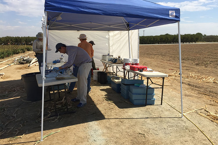 Researchers stand under a temporary tent on a bright sunny day. 