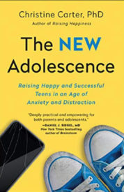 The New Adolescence Book