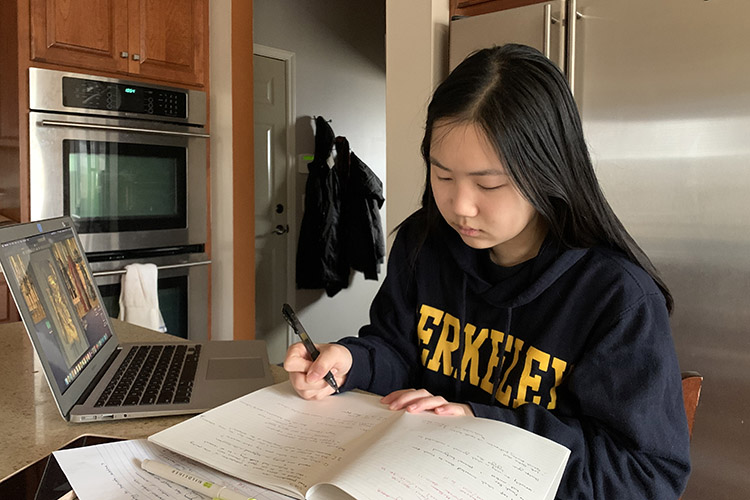 Sophomore Emily Su works on a school project at her family's home in Minnesota