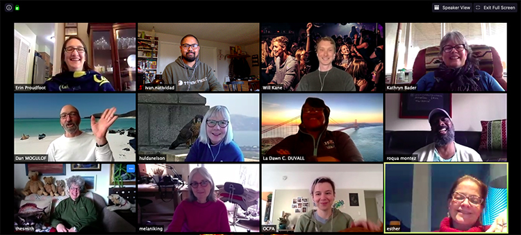 Twelve people on a video conference call