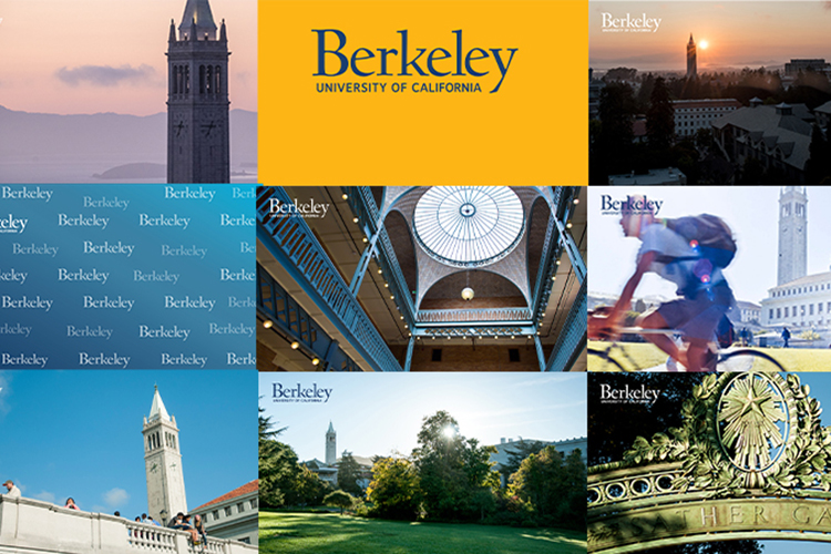 a collage of different Berkeley-branded backgrounds