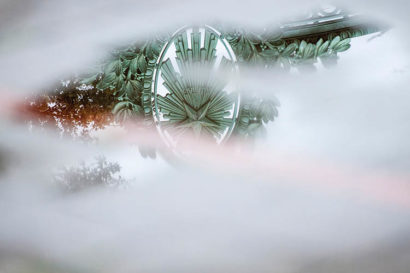sather gate's fiat lux logo reflected in a puddle