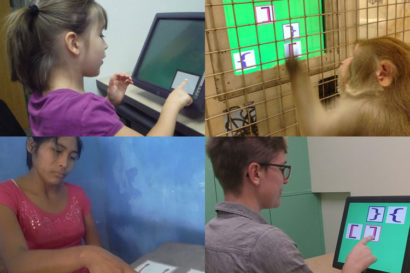 Young girl, monkey, Bolivian woman and American woman being tested on recursion ability.