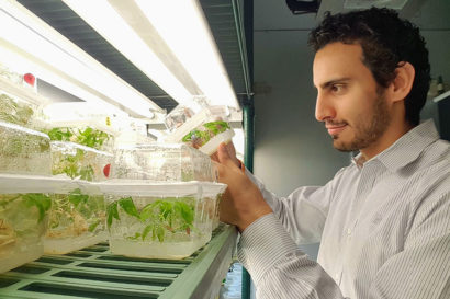A photo showing a man holding a clear plastic container with small green plants growing inside, under a bright grow light.