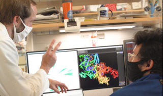 Postdoc Patrick Pausch and doctoral student Basem Al-Sayed in front of a computer discussing a new gene-editing protein