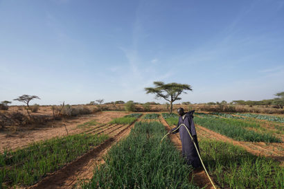 A photo of a person in black robes watering a patch of green field amidst a dry, brown landscape