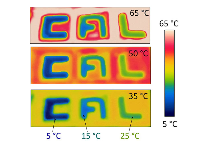 A scientific image shows three graphs in an array of colors, each of which has the letters C - A - L clearly visible.