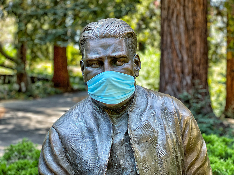 A mask protects the face of a bronze statue of former Cal football coach Pappy Waldorf at the west end of Memorial Glade.