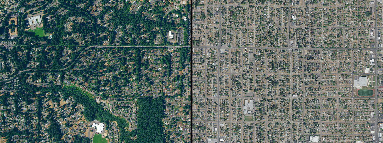 An aerial view showing the differences in tree cover in two neighboring cities.