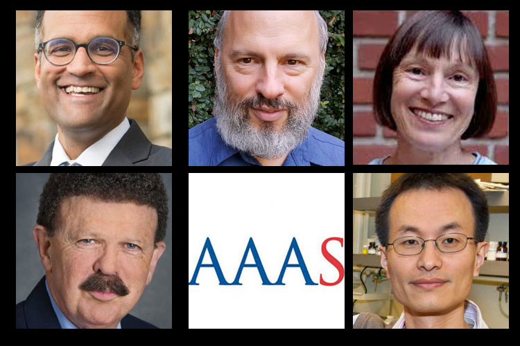 Sanjay Kumar(top left), Spencer Klein, Margaret Conkey, Robert Ritchie (bottom left) and Peidong Yang are the five new Berkeley scholars elected to the American Association for the Advancement of Science.