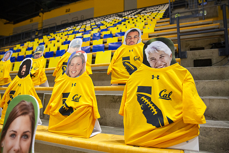 A cardboard cutout of Chancellor Christ, with a real Cal T-shirt over the shoulders, is among hundreds of fan cutouts in Haas Pavilion taking the place of real fans during the pandemic..