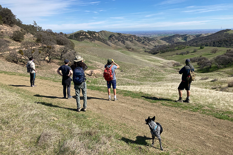 Students on a Feb. 25 hike in the East Bay hills with their professor, Paul Fine, stop to take in the views.