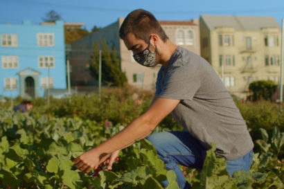 a student works in a garden wearing a mask