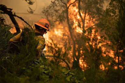 A firefighter walks through dense scrub towards a blazing wildfire