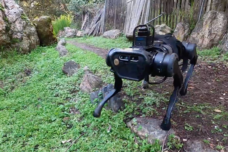 robot walking off a path into grass