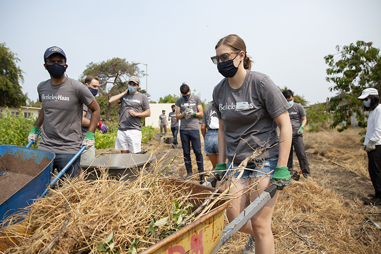Students work in a community garden as part of the Berkeley Haas MBA day of service during orientation week.